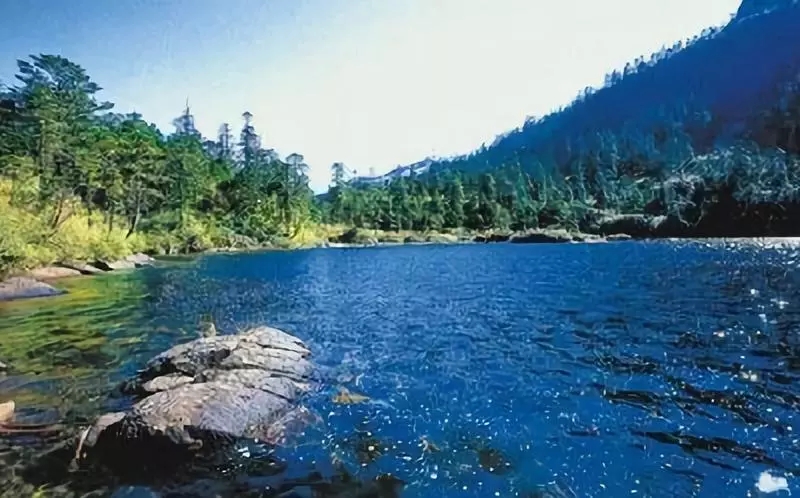 e2271535408210e78fdea1b81785161.jpg e2271535408210e78fdea1b81785161.jpg