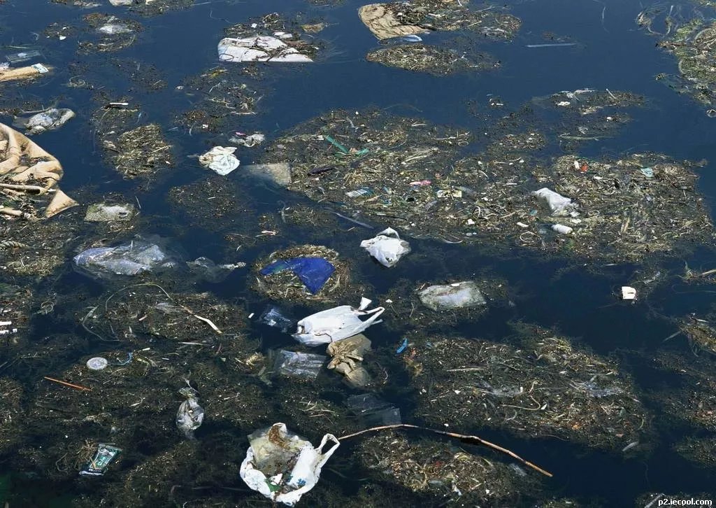 4bbba8179c7d3917abb5e0109597ebd.jpg 4bbba8179c7d3917abb5e0109597ebd.jpg